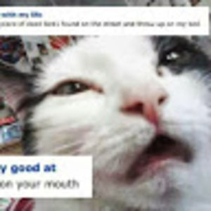 Meet your Posher, John